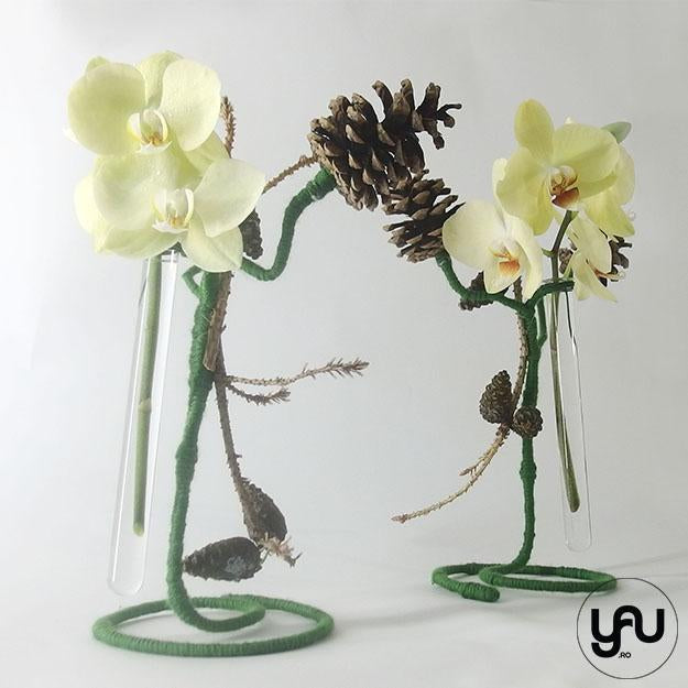 Aranjament floral orhidee si conuri yau.ro YaU Concept Elena TOADER