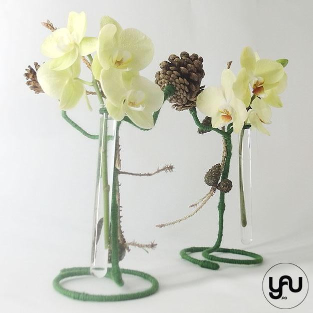 Aranjament floral orhidee si conuri yau.ro YaU Concept Elena TOADER