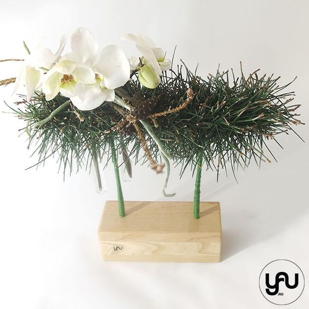 Aranjament floral orhidee si pin yau.ro YaU Concept Elena Toader