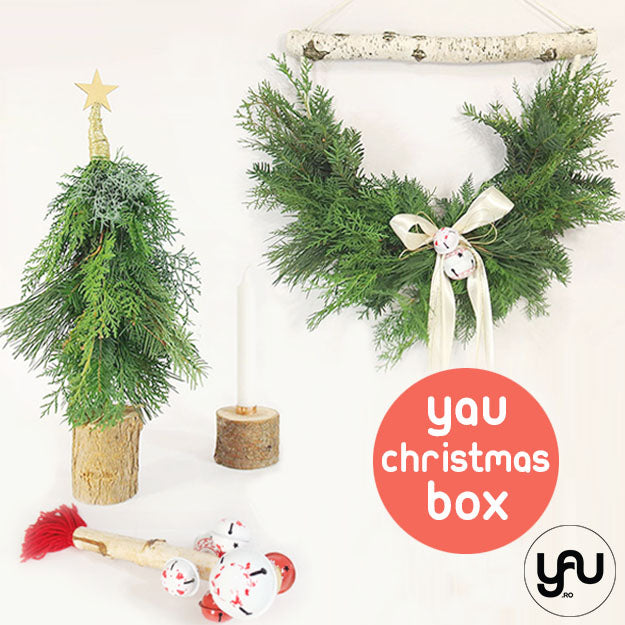 YaU Christmas BOX 3