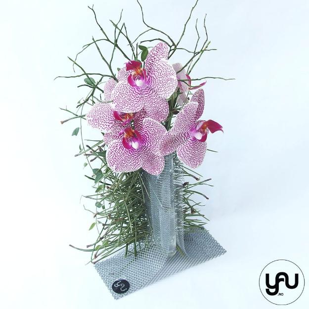 Aranjament floral orhidee yau.ro yau concept elena toader