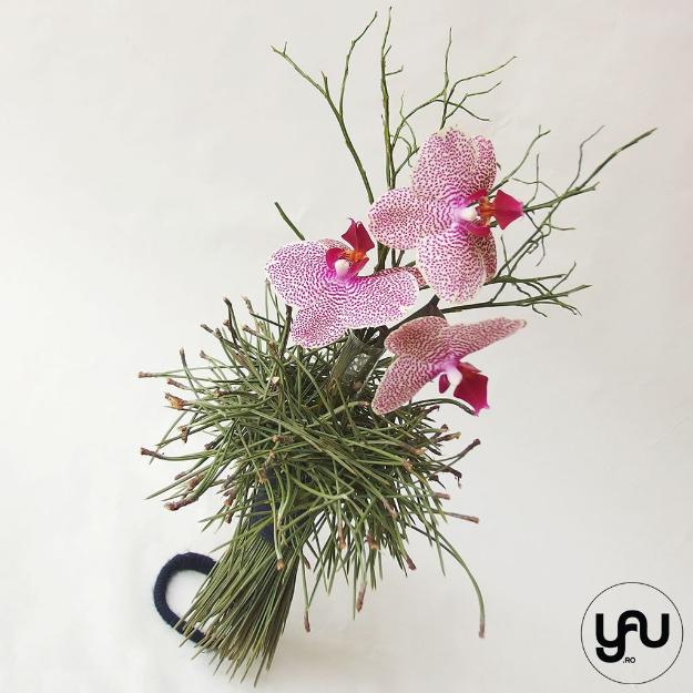 Aranjament floral orhidee si pin yau.ro yau concept elena toader